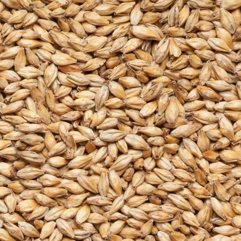 Солод Ячменный светлый Венский 25 кг