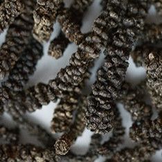 Лонг Африканский перец черный - 50гр