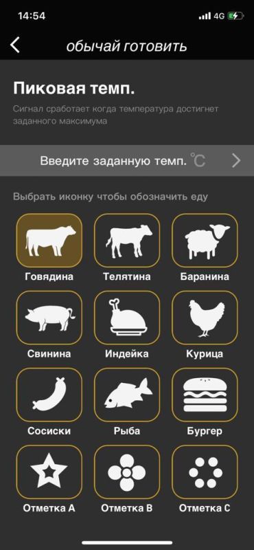 Беспроводной щуп термометр для мяса / сыра / гриль Cook Technic - Mini X3