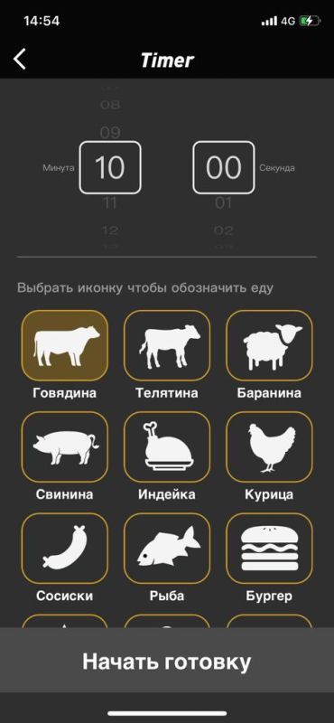 Беспроводной щуп термометр для мяса / сыра / гриль Cook Technic - Mini X3