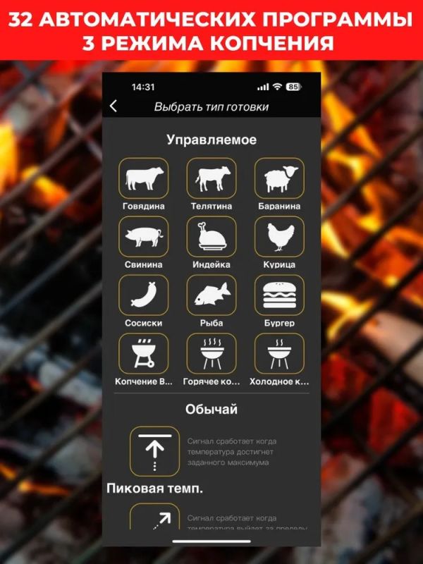 Термометр для гриля  bluetooth Cook Technic - WR01