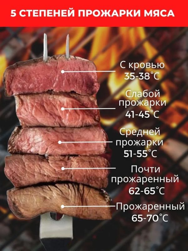 Термометр для гриля  bluetooth Cook Technic - WR01