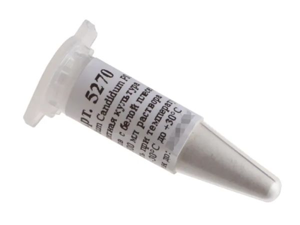 Культура белой плесени для сыра Penicillium Candidum PSM2, флакон на 500 мл раствора (Здоровеево).