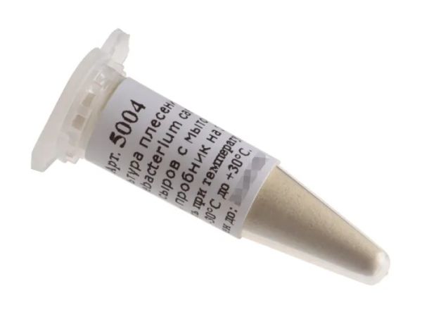 Культура плесени Corynebacterium casel для сыров с мытой коркой, на 30 л. раствора (Здоровеево) к